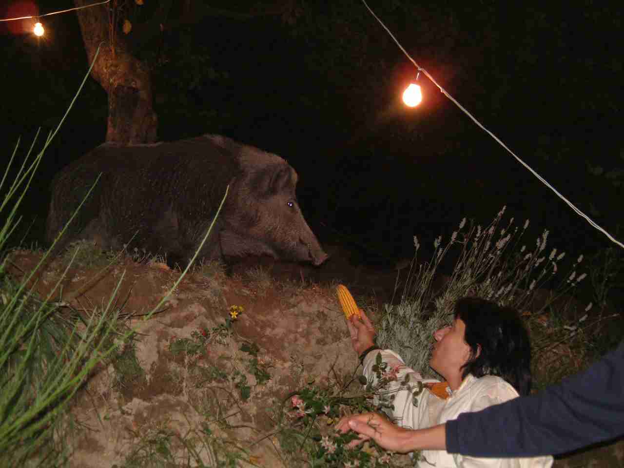  Image name: DSCF0060.JPG 
 width: 1280 pixel 
 height: 960 pixel 
 Size: 49436 bytes 
 Click to enlarge 